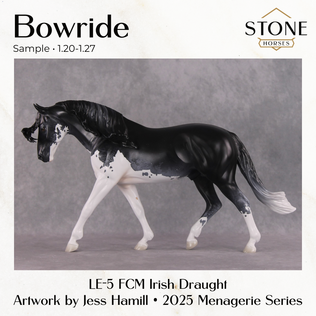 SAMPLE Bowride LE-5 Irish Draught by Jess Hamill SS0126