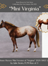 "Mini Virginia" LE-3 Appaloosa Custom Stock Chip By Julie Keim -Secret Surprise Chip Drop