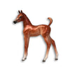 Nikea SAMPLE Chestnut Custom Arab Foal By Jess Hamill EQ24 From the AotH Literature Entry &quot;The Mob&quot; By Frances Pauli SS1024