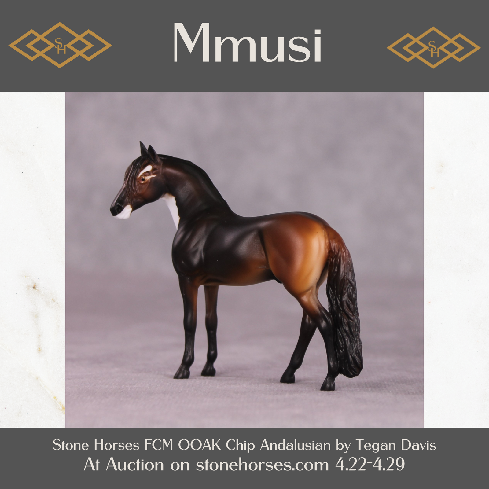 "Mmusi" FCM Andalusian Chip by Tegan Davis