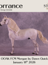 Torrance OOAK FCM Morgan by Dawn Quick DDOOAKs26