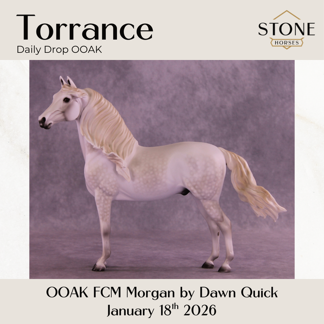 Torrance OOAK FCM Morgan by Dawn Quick DDOOAKs26
