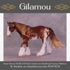 Gilamou OOAK FCM Irish Cob by Jess Hamill Best Offer 10/21/25