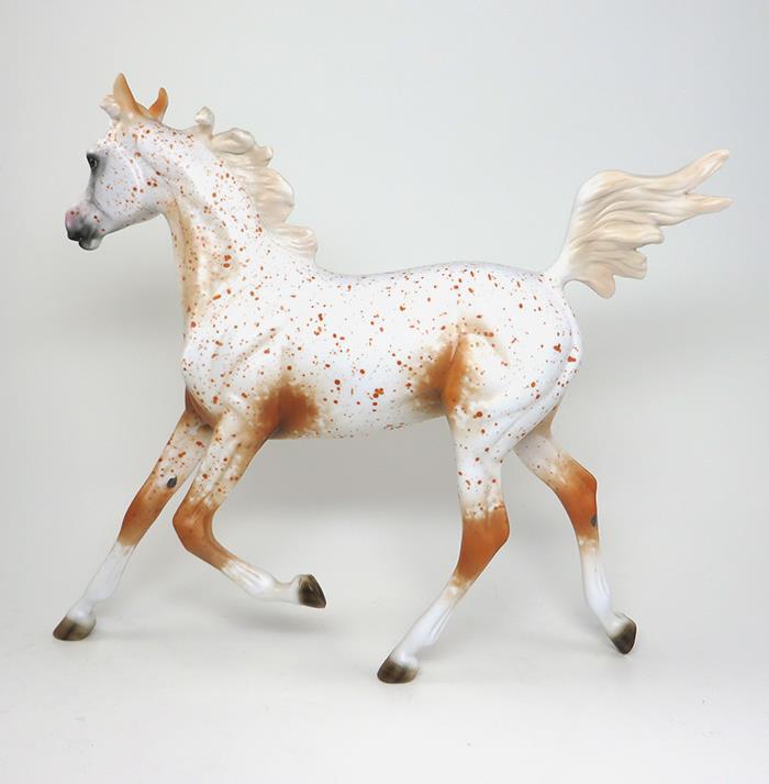 YEARLING APPALOOSA 