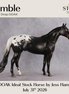 Jumble OOAK Ideal Stock Horse by Jess Hamill DDOOAKs26