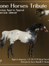 Appt to Impress LE-20 FCM Ideal Stock Horse by Jess Hamill TS26