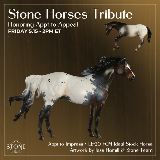 Appt to Impress LE-20 FCM Ideal Stock Horse by Jess Hamill TS26