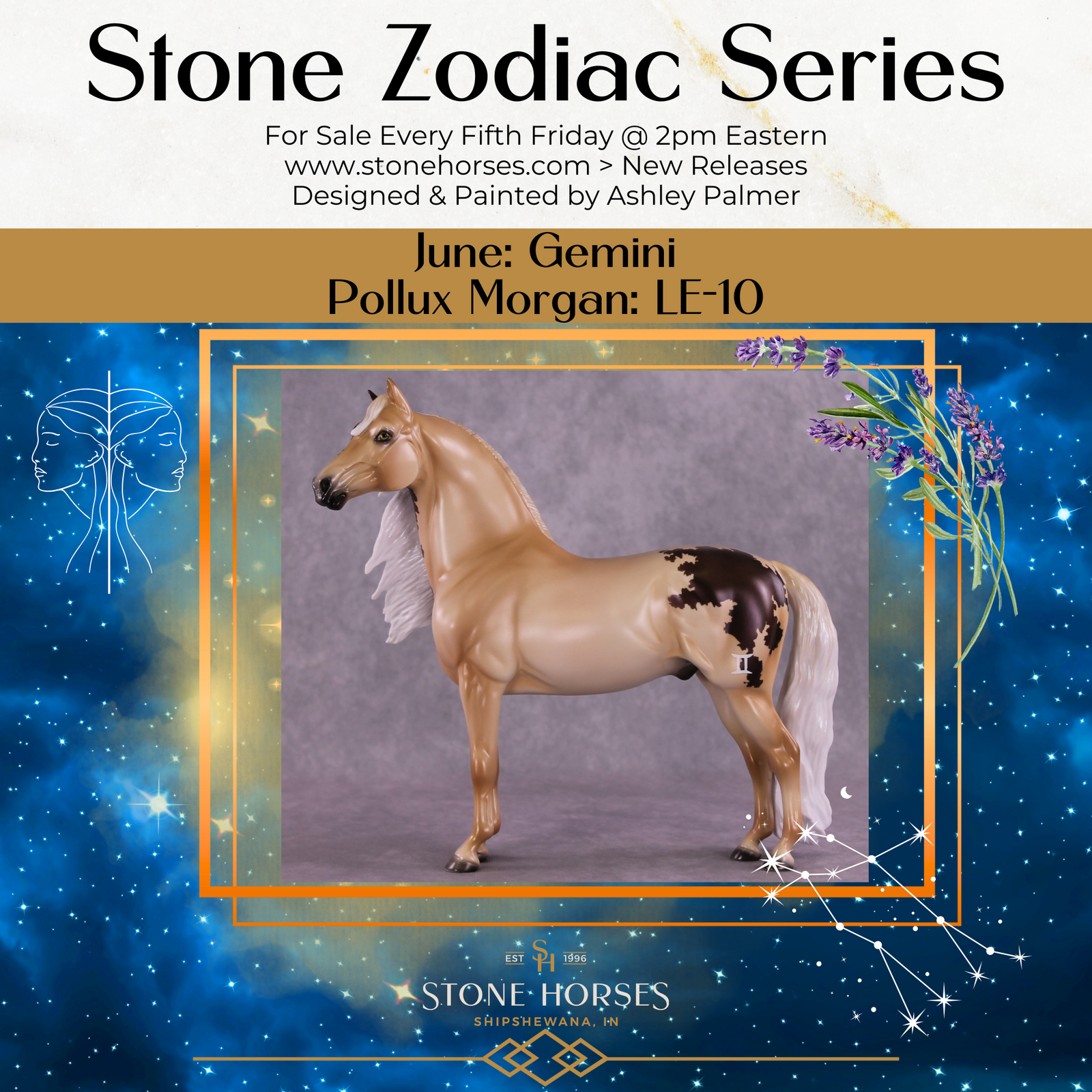 "Pollux" LE-10 FCM Morgan By Ashley Palmer ZS25