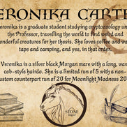 Veronika Carter LE 5 Run Dappled Silver Black Extreme Custom Morgan By Ellen Robbins MM24 Run