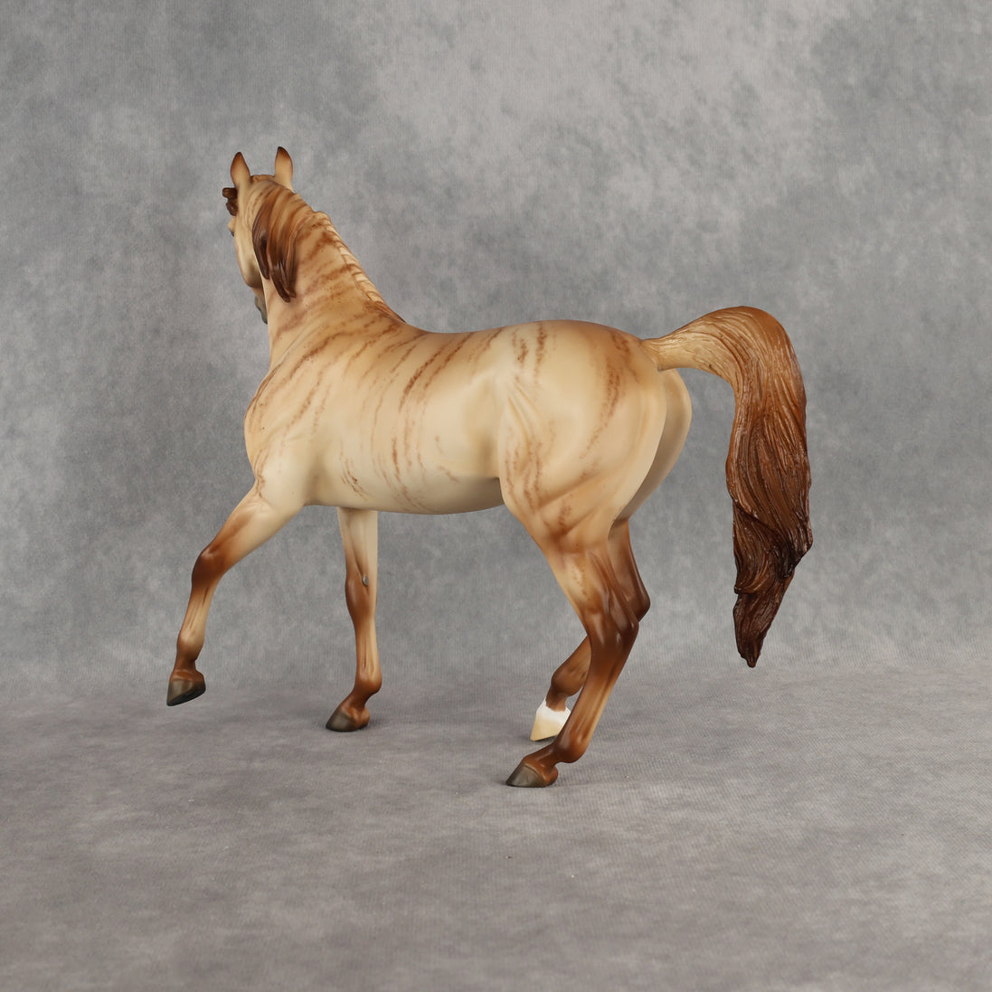 Hello Pumpkin OOAK FCM Arabian Mare by Ellen Robbins DDOOAKs26