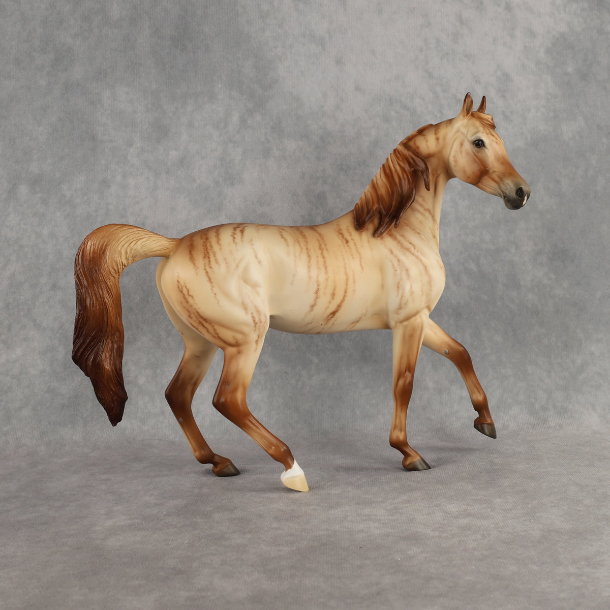 Hello Pumpkin OOAK FCM Arabian Mare by Ellen Robbins DDOOAKs26