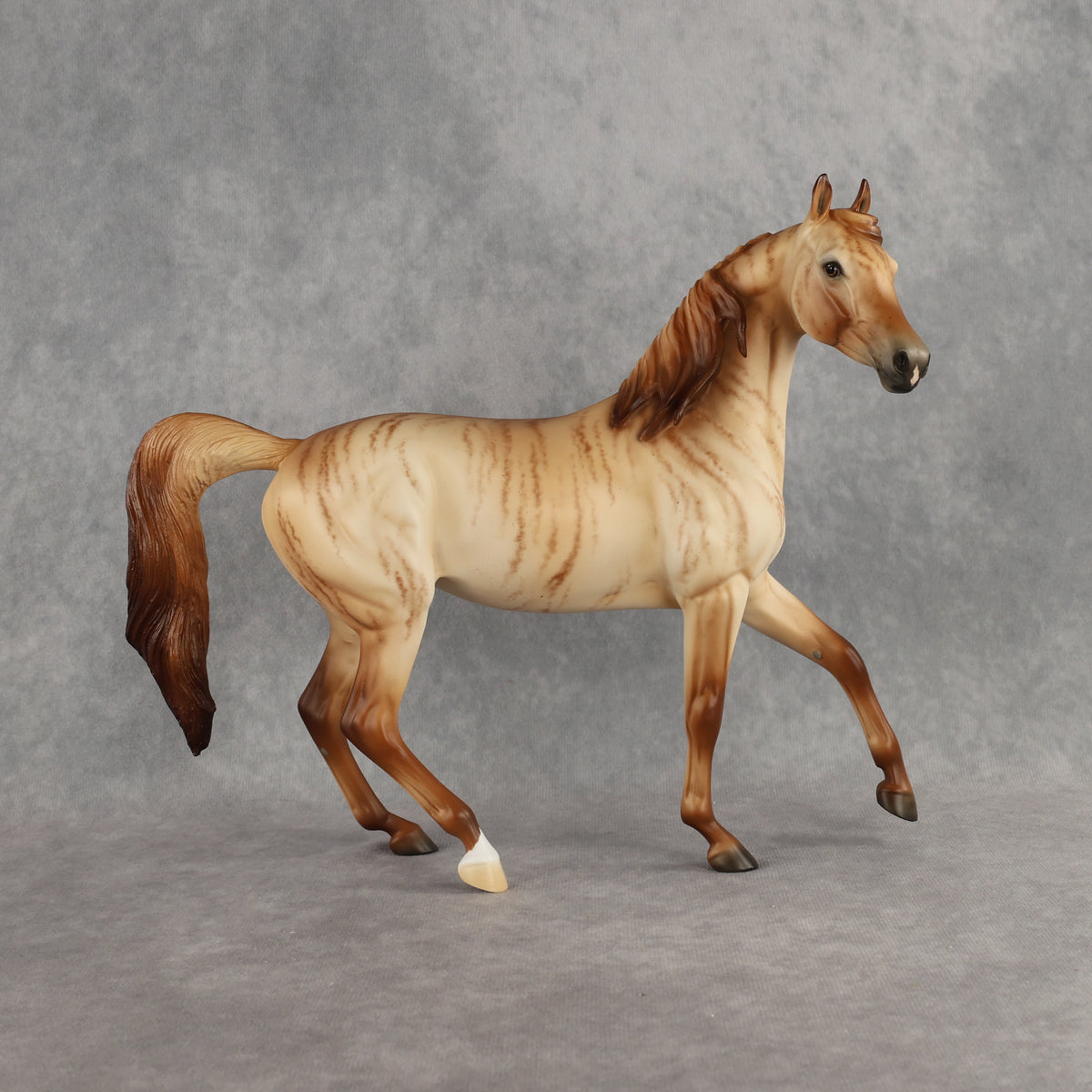 Hello Pumpkin OOAK FCM Arabian Mare by Ellen Robbins DDOOAKs26