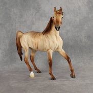 Hello Pumpkin OOAK FCM Arabian Mare by Ellen Robbins DDOOAKs26