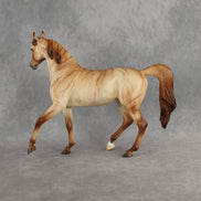 Hello Pumpkin OOAK FCM Arabian Mare by Ellen Robbins DDOOAKs26