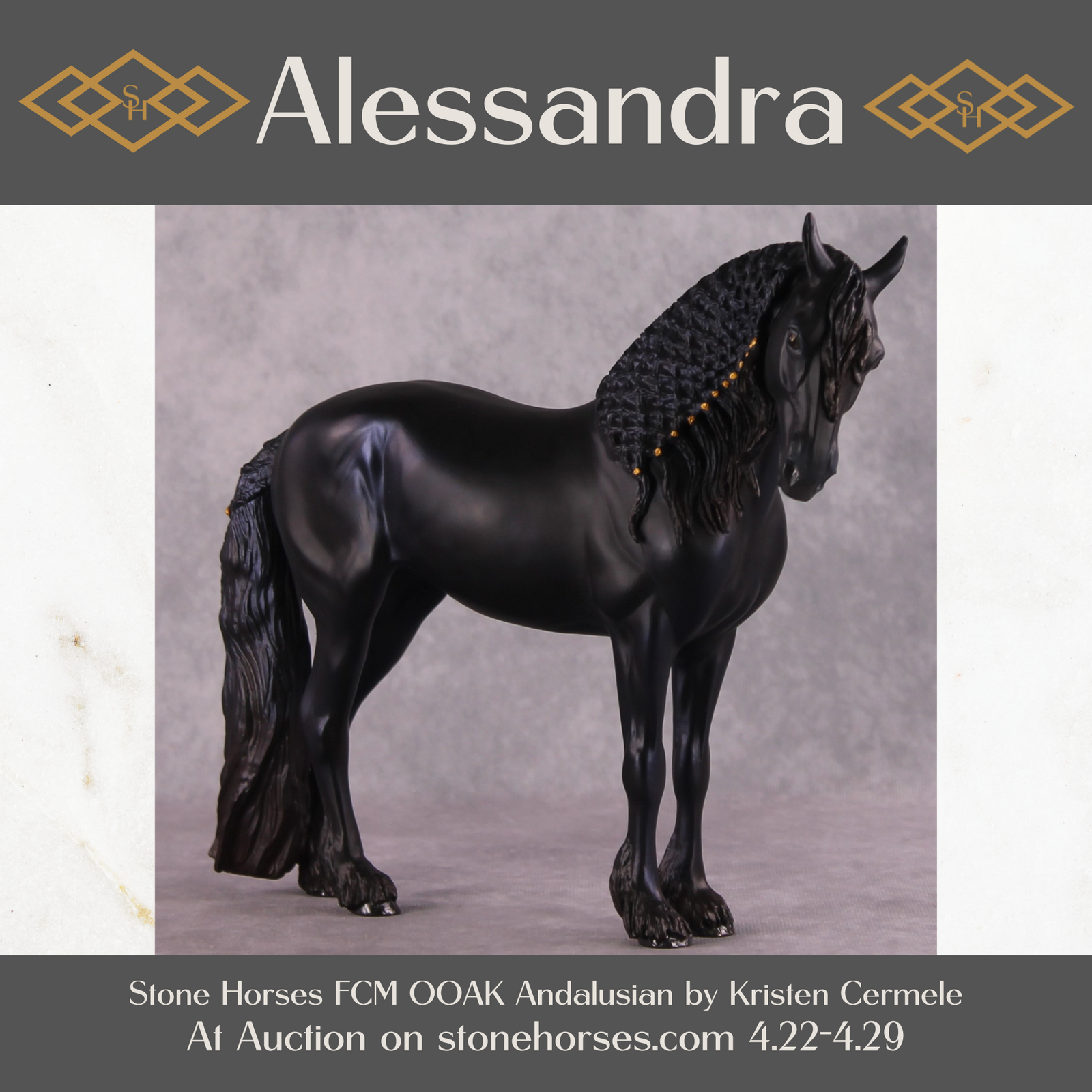 "Alessandra" FCM Andalusian By Kristen Cermele