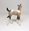 butterfly foal