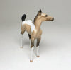 Sheryl Leisure Foal