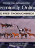52 Free Thoroughbreds Blind Bag 10 OOAK Chip Thoroughbreds by Melanie Miller TO26