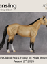 Lansing OOAK Ideal Stock Horse by Madi Wiseman DDOOAKs26