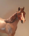 MISS MARS - Red Roan Stock Model Horse