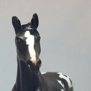 ANT JO -  Appaloosa Chip Drafter Model Horse