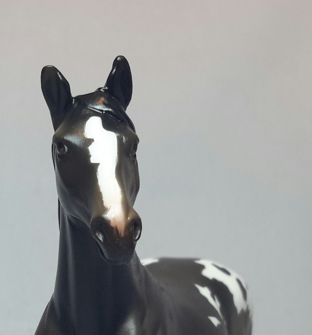 ANT JO -  Appaloosa Chip Drafter Model Horse