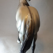 POND SKATER - Silver Dun Stock Horse