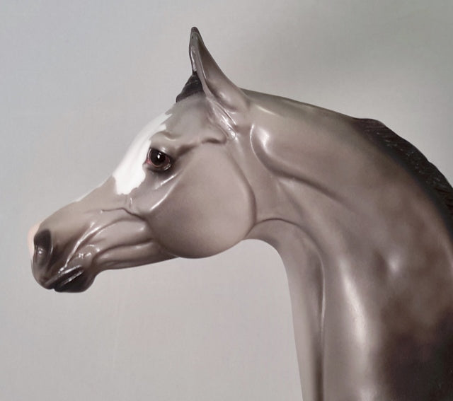 RAINY DAY PEOPLE - Gray Arabian