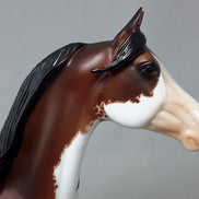 BAY BREEZE - Morgan Horse Sculpture by Sheila Bishop