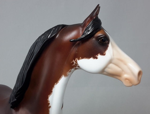 BAY BREEZE - Morgan Horse Sculpture by Sheila Bishop
