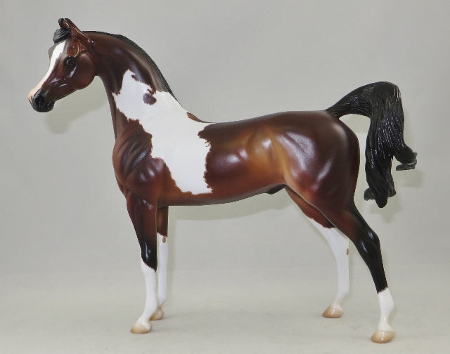 JUNGLE JUICE - Marwari Model Horse by Sheila Bishop