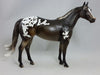 SIDESHOW - Appaloosa Stock Horse