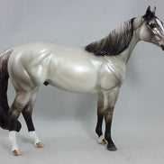 POND SKATER - Silver Dun Stock Horse