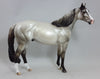 POND SKATER - Silver Dun Stock Horse