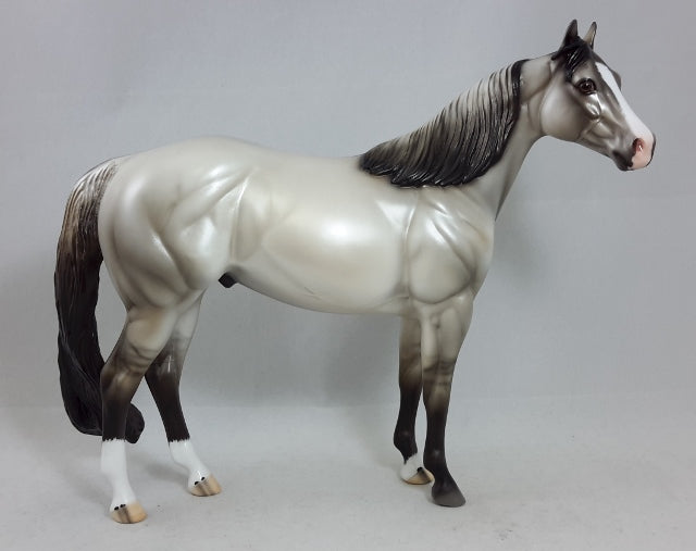 POND SKATER - Silver Dun Stock Horse