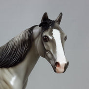 POND SKATER - Silver Dun Stock Horse