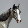 POND SKATER - Silver Dun Stock Horse