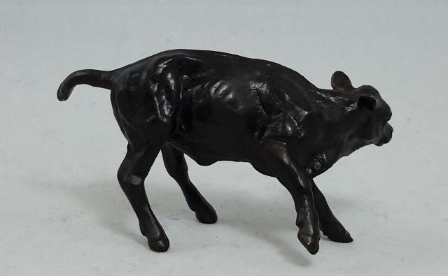BLACK CALF - Classic Herd Accent Model
