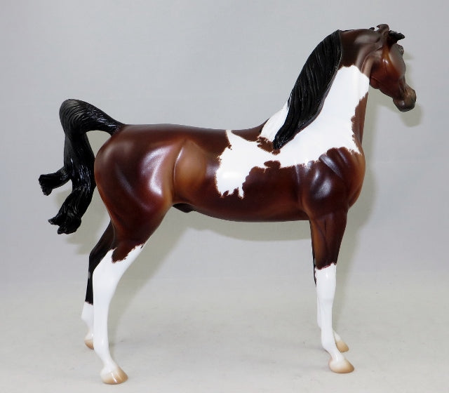 JUNGLE JUICE - Marwari Model Horse by Sheila Bishop
