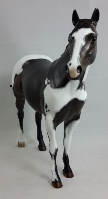 HUMIDITY RISING - OOAK Paint Stock Horse