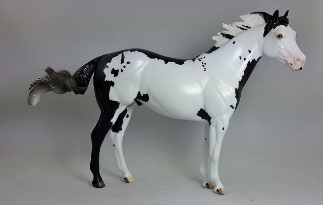TEACHER'S PET - Overo Paint Stock Horse