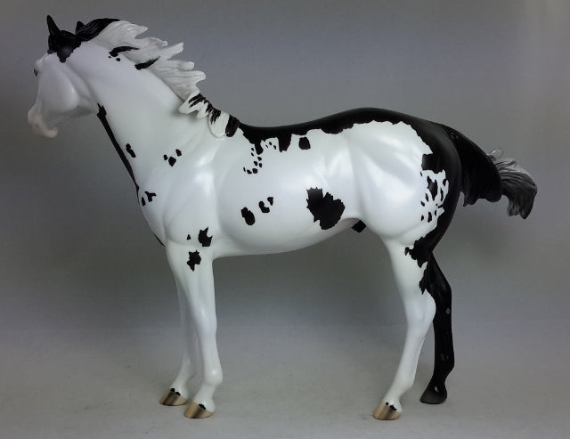 TEACHER&#39;S PET - Overo Paint Stock Horse