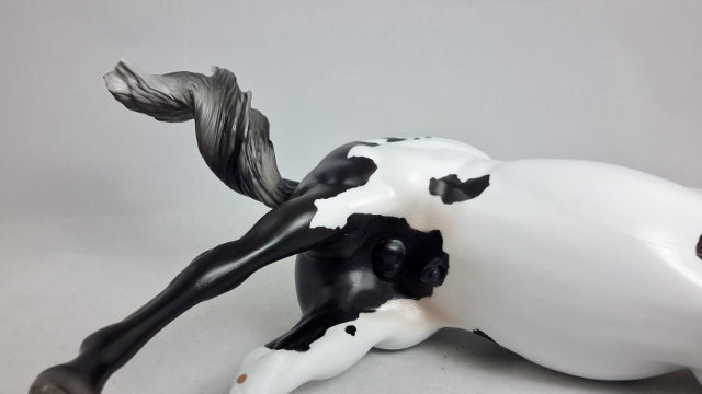 TEACHER&#39;S PET - Overo Paint Stock Horse