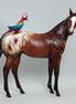 BAK PAK - OOAK Weanling with Parrot