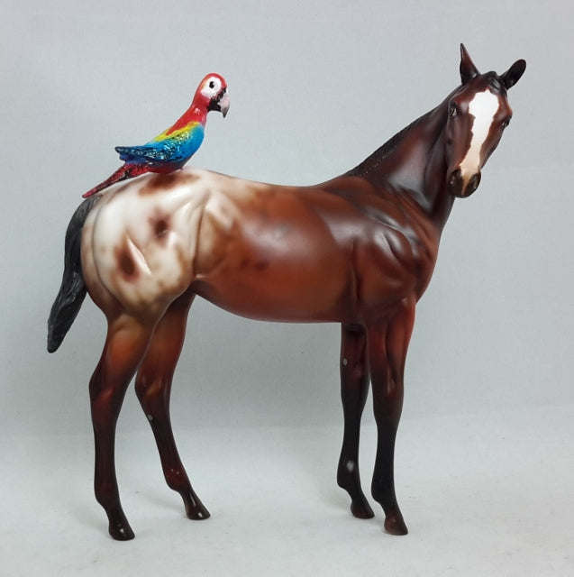 BAK PAK - OOAK Weanling with Parrot
