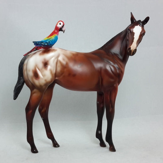 BAK PAK - OOAK Weanling with Parrot