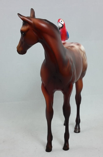 BAK PAK - OOAK Weanling with Parrot