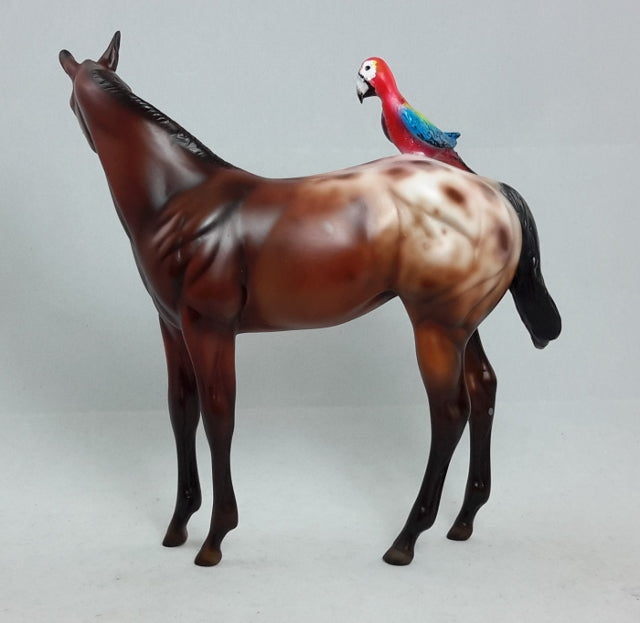 BAK PAK - OOAK Weanling with Parrot