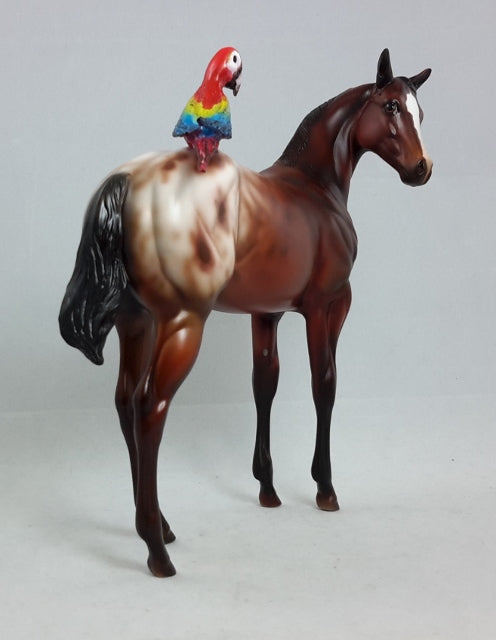 BAK PAK - OOAK Weanling with Parrot