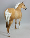 GIGI OMETRY - Palomino Stock Horse